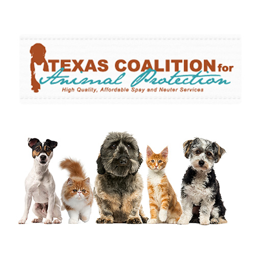 TCAP Low Cost Vaccination Clinic | DFW 