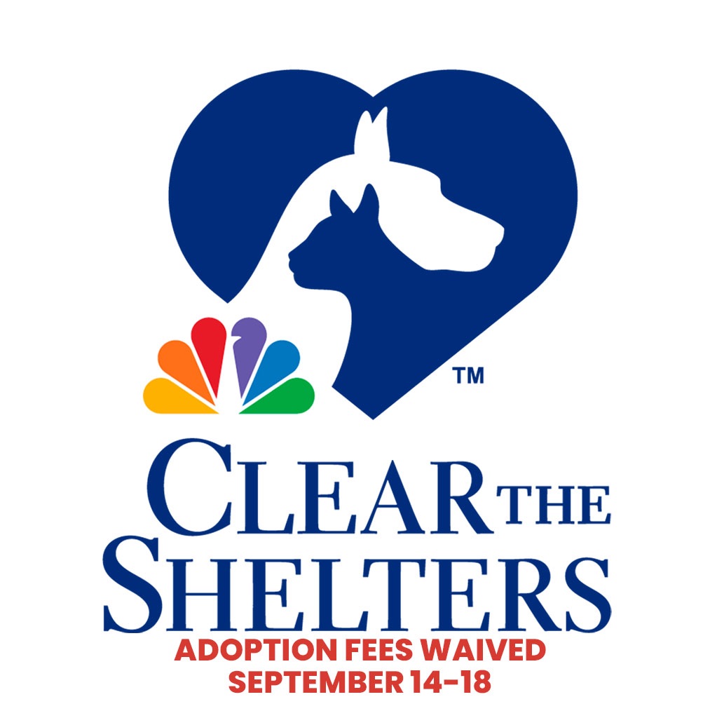 Clear the Shelters 2021 DFW Humane Society