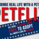 Petflix October Adoption Special