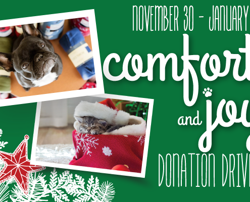 2021 Comfort & Joy Donation Drive