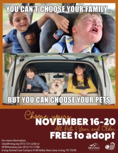 November Adoption Special