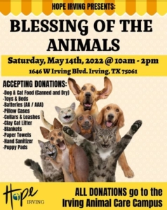 Hope Irving Blessing of the Animals