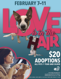 Love is in the Hair adoption special flyer